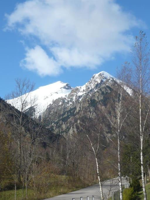 Apartament Al Cor De La Vall De Camprodon Vilallonga de Ter Exterior foto